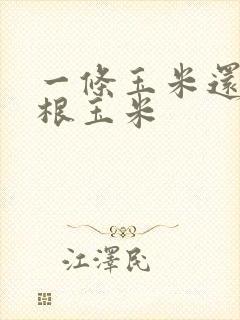 一条玉米还是一根玉米