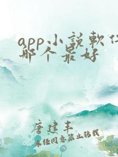 app小说软件哪个最好