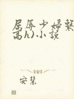 屈辱少妇系列(高h)小说