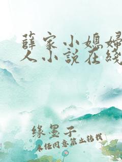 薛家小媳妇笑佳人小说在线阅读