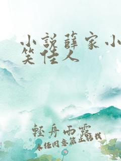 小说薛家小媳妇笑佳人
