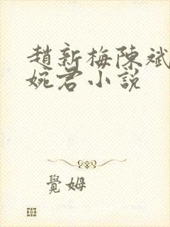 赵新梅陈斌,高婉君小说
