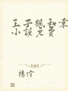 王子枫和袁雯洁小说免费