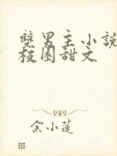双男主小说推荐校园甜文
