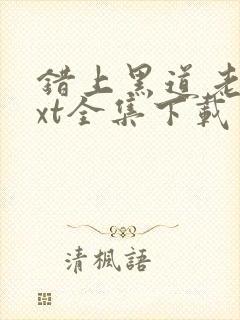 错上黑道老大txt全集下载