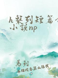 h系列短篇合集小说np