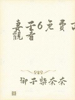 妻子6免费高清观看