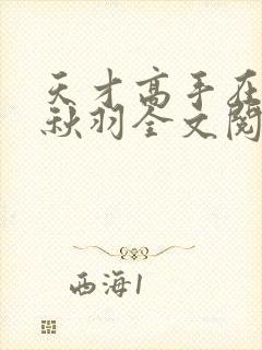 天才高手在都市秋羽全文阅读