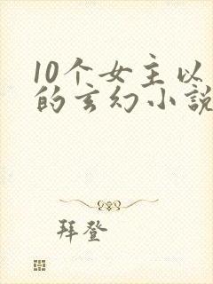 10个女主以上的玄幻小说