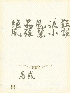 绝品风流狂医林风张慧小说追书