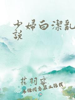 少妇白洁乱欲小说