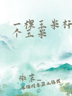 一棵玉米杆结几个玉米