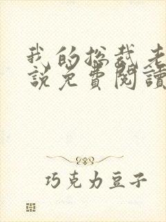 我的总裁老婆小说免费阅读