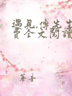 遇见,傅先生免费全文阅读