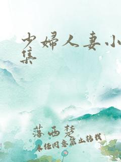 少妇人妻小说合集