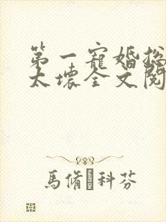 第一宠婚总裁别太坏全文阅读