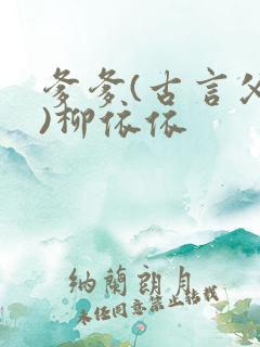 爹爹(古言父女)柳依依