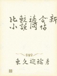 比较适合新人的小说网站