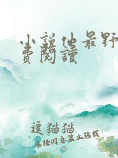 小说他最野了免费阅读