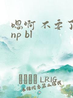 嗯啊 不要了 np bl