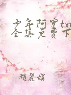 少年阿宾txt全集免费下载