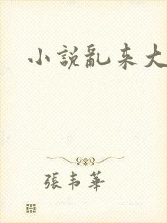 小说乱来大杂烩