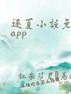 逐夏小说免费看app