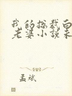 我的总裁白富美老婆小说未删减完整版