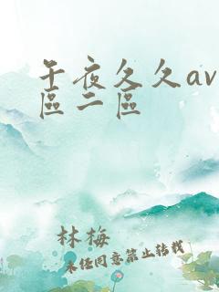 午夜久久av一区二区