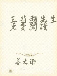 王莉赵先生小说免费阅读