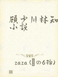 顾少川林知许的小说