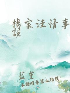 杨家洼情事 小说
