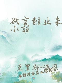 欲言难止未删减小说