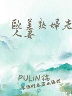 欧美熟妇老熟妇人妻