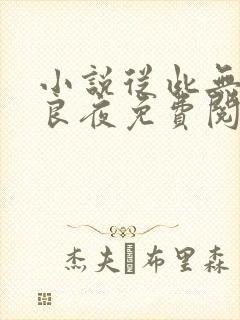 小说从此无心爱良夜免费阅读