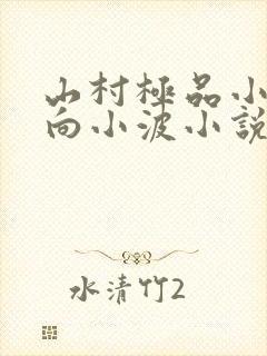 山村极品小神医向小波小说阅读