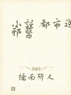 小说 都市逆天邪医