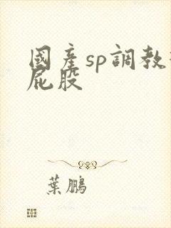 国产sp调教打屁股