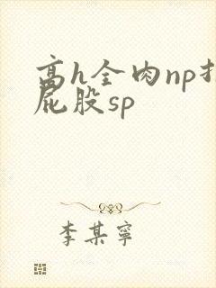 高h全肉np打屁股sp