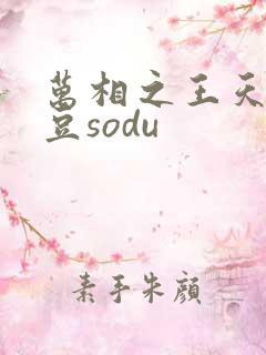 万相之王天蚕土豆sodu