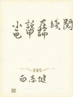 小说在线阅读大龟甲师