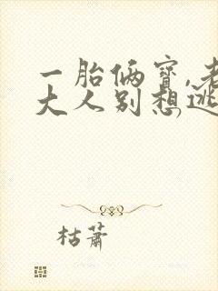 一胎俩宝,老婆大人别想逃 小说