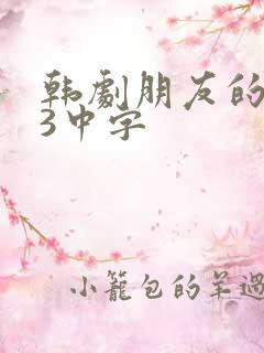 韩剧朋友的妈妈3中字