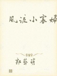 风流小寡妇小说