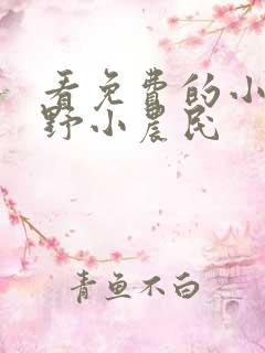看免费的小说乡野小农民