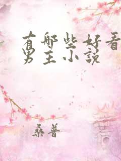 有哪些好看的双男主小说