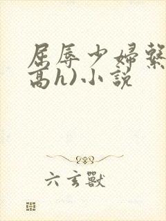 屈辱少妇系列(高h)小说