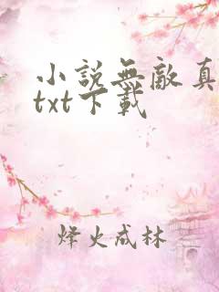小说无敌真寂寞txt下载