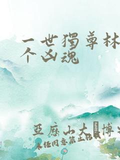 一世独尊林云八个凶魂