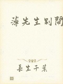 薄先生别闹全文